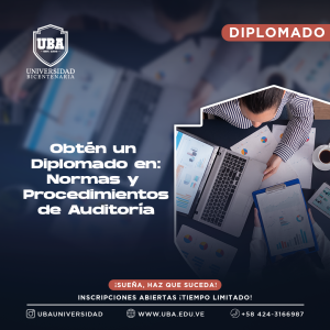 Normas y Procedimientos de Auditoria